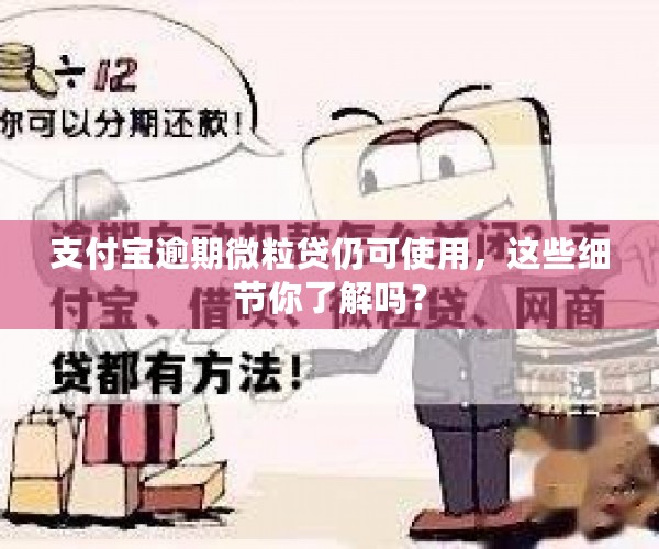 支付宝逾期微粒贷仍可使用，这些细节你了解吗？