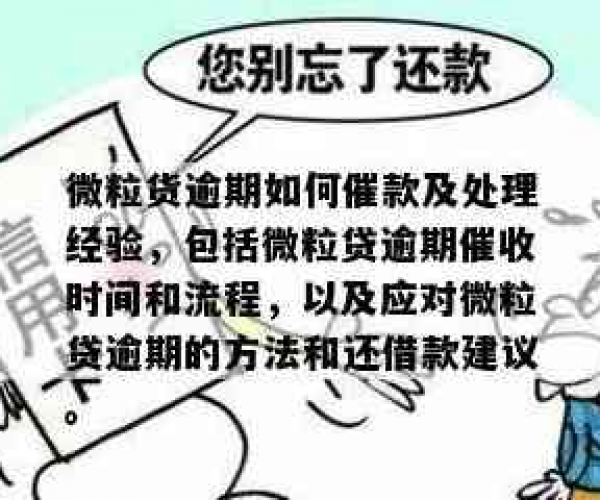 揭秘微粒贷逾期后的联系流程，这些细节你了解吗？