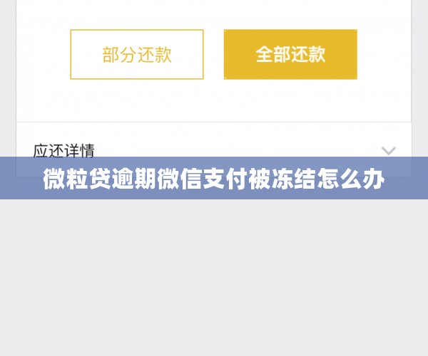 微粒贷逾期微信支付被冻结怎么办