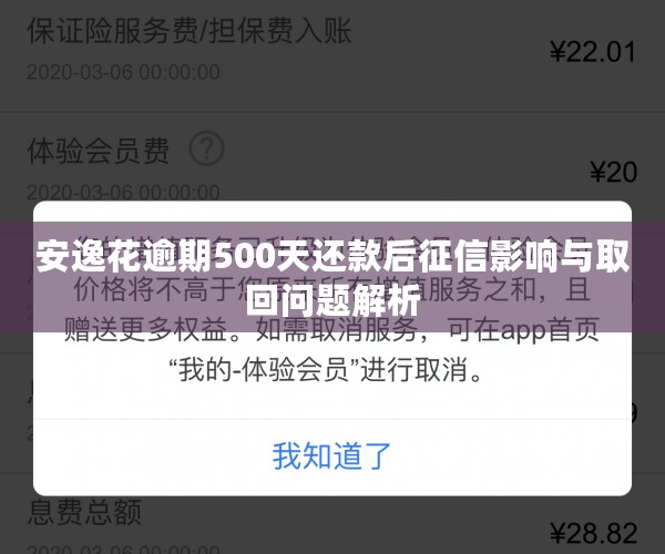 安逸花逾期500天还款后征信影响与取回问题解析