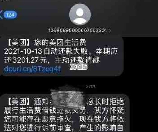 美团生活费逾期七天，用户将面临何种后果？