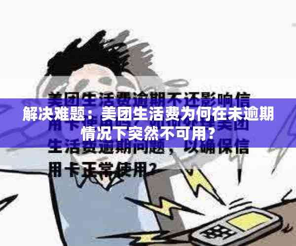 解决难题：美团生活费为何在未逾期情况下突然不可用？