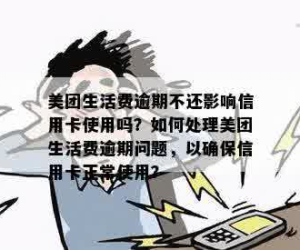 美团生活费没逾期为什么不能用了