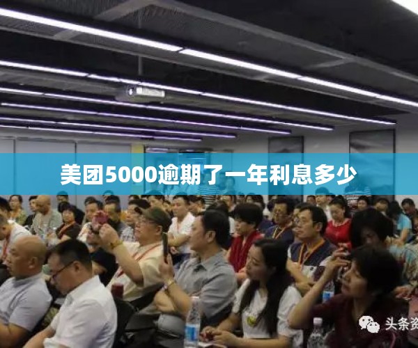 美团5000逾期了一年利息多少