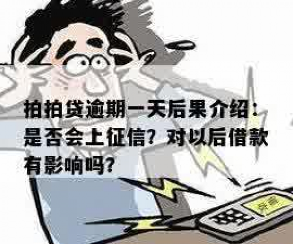 拍拍贷逾期不还，征信记录受影响，后果你了解吗？