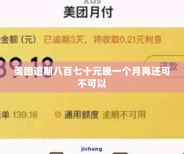 美团逾期八百七十元晚一个月再还可不可以