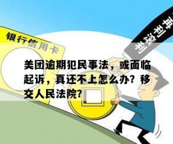 美团逾期法院诉讼何时开庭审理详解