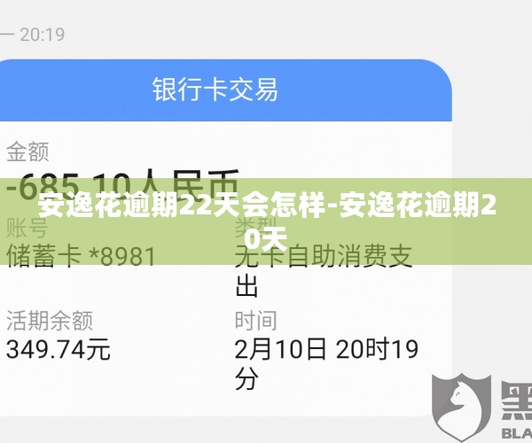 安逸花逾期22天会怎样-安逸花逾期20天
