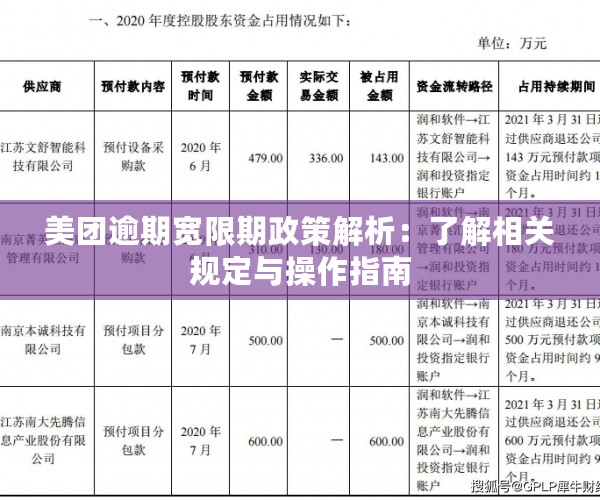 美团逾期宽限期政策解析：了解相关规定与操作指南