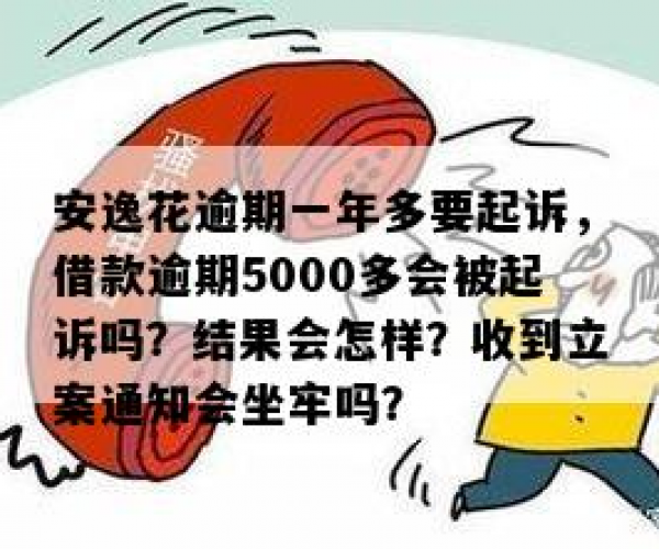 安逸花逾期一年多有人找上门怎么办？逾期3个月、100天接立案通知、坐牢风险