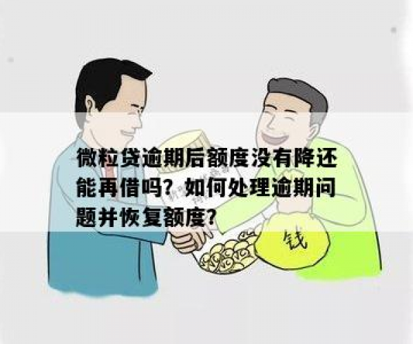 微粒贷逾期恢复额度了，还能继续使用吗