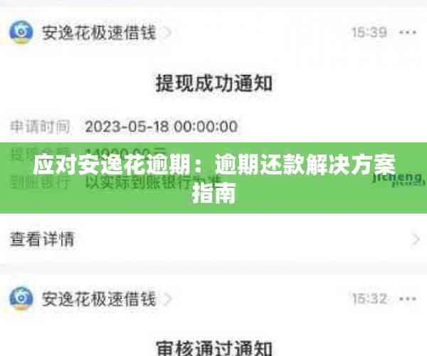 应对安逸花逾期：逾期还款解决方案指南