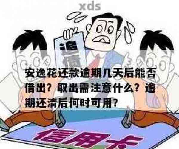 应对安逸花逾期：逾期还款解决方案指南