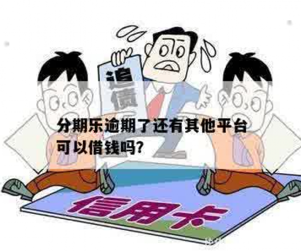 分期乐逾期后，还能否使用其他贷款应用？