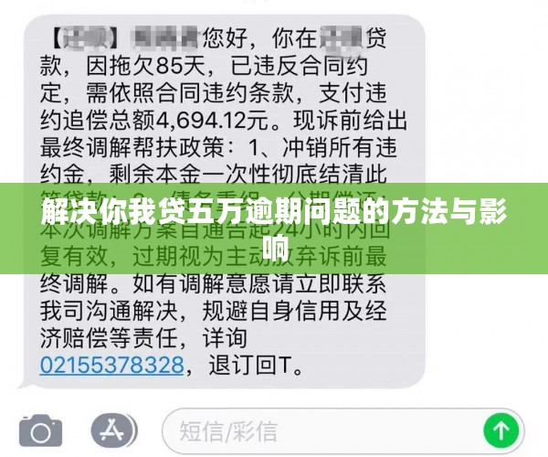 解决你我贷五万逾期问题的方法与影响