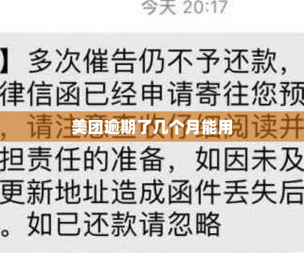 美团逾期了几个月能用