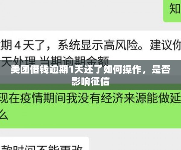 美团借钱逾期1天还了如何操作，是否影响征信