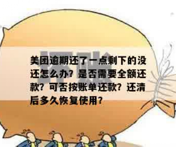 解决美团逾期还款问题，轻松还清欠款指南