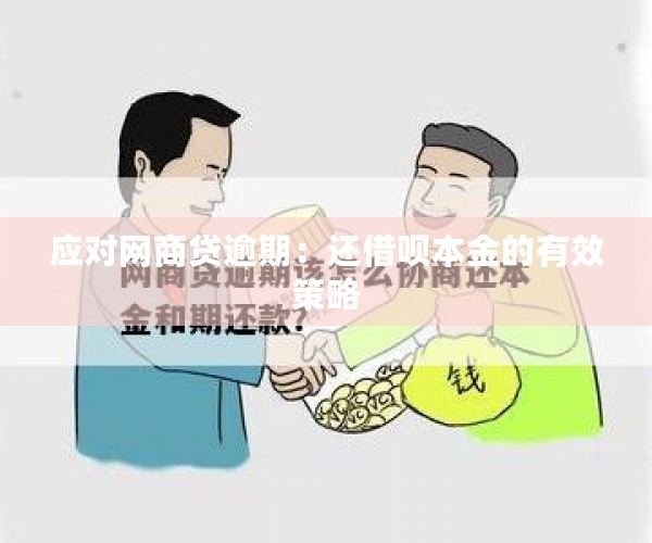 应对网商贷逾期：还借呗本金的有效策略