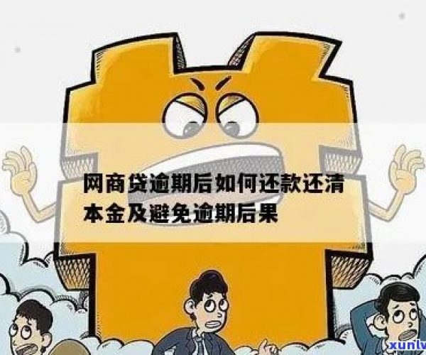 应对网商贷逾期：还借呗本金的有效策略