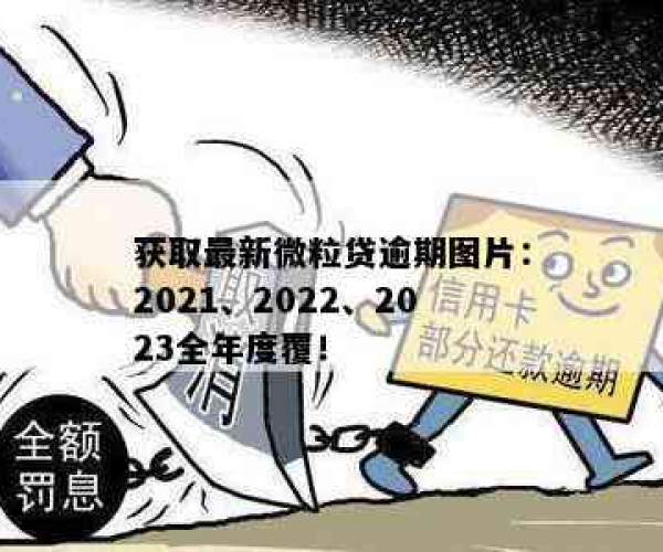 2023微粒贷逾期人数