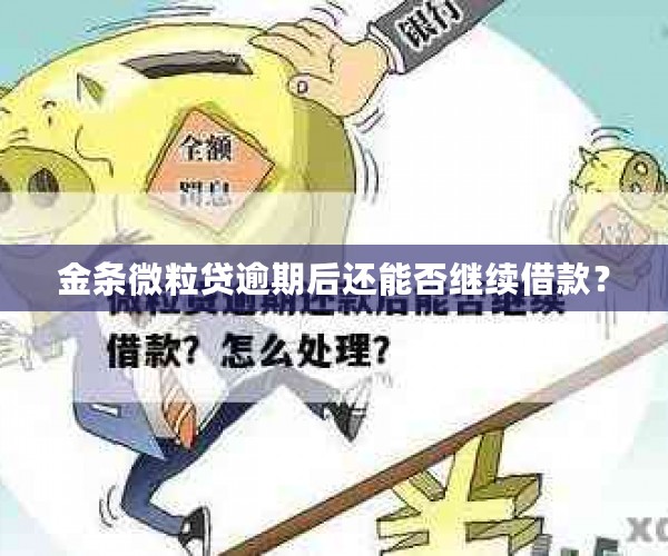 金条微粒贷逾期后还能否继续借款？