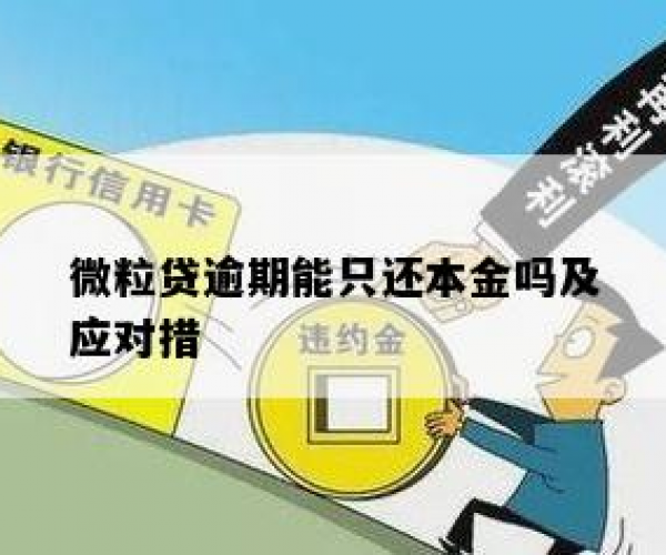 金条微粒贷逾期还能借吗现在怎么还