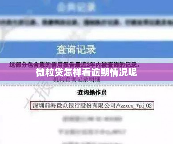 微粒贷怎样看逾期情况呢