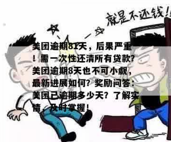 美团逾期还款8天后，是否需要一次性还清所有欠款？