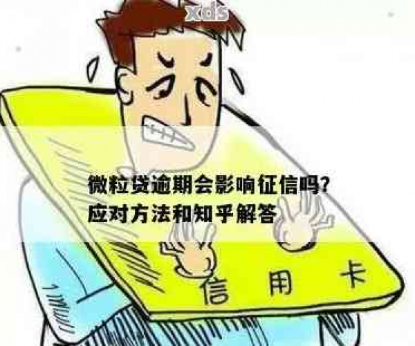 微粒贷4天逾期会上征信