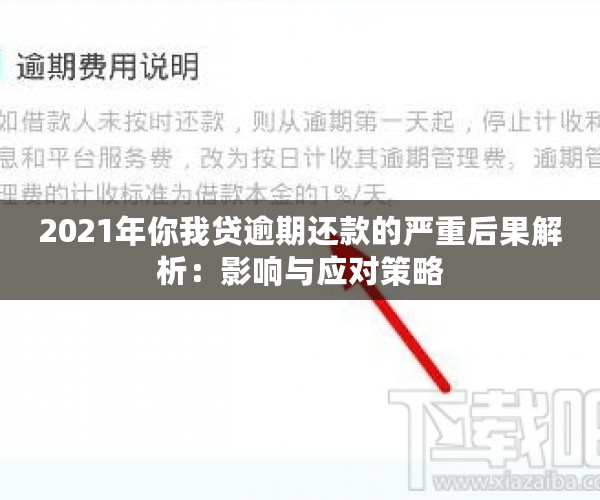 2021年你我贷逾期还款的严重后果解析：影响与应对策略