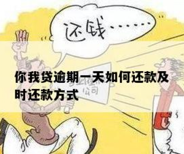 处理你我贷逾期还款的策略与步骤