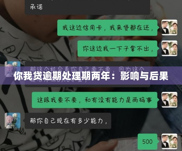 你我贷逾期处理期两年：影响与后果