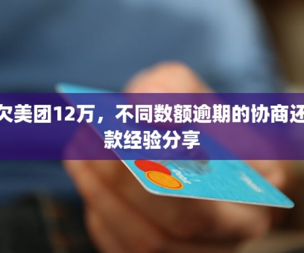 解决美团逾期问题：本金协商还款新途径