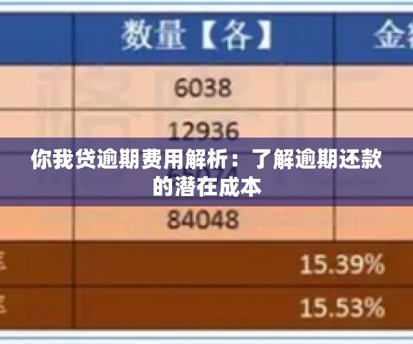 你我贷逾期费用解析：了解逾期还款的潜在成本