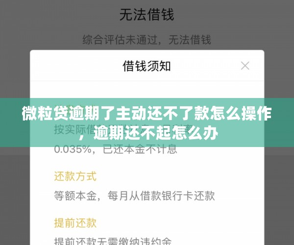 微粒贷逾期了主动还不了款怎么操作，逾期还不起怎么办