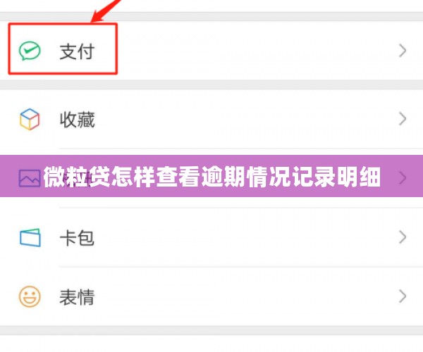 微粒贷怎样查看逾期情况记录明细