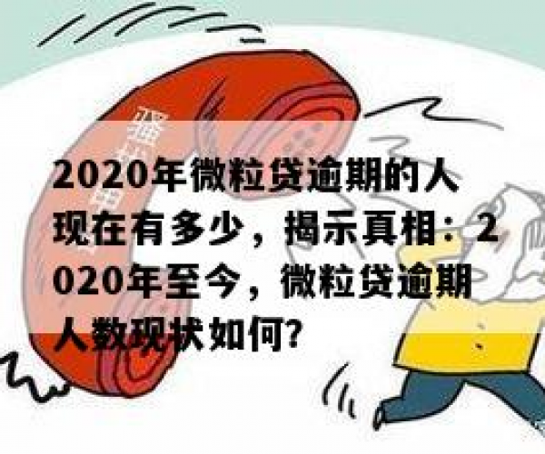 揭秘：微粒贷逾期最久的人数统计曝光