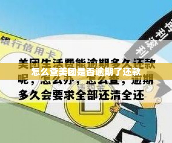 怎么查美团是否逾期了还款