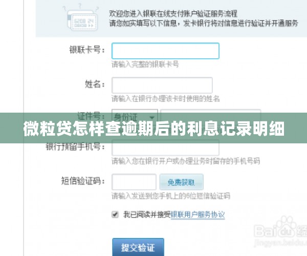 微粒贷怎样查逾期后的利息记录明细