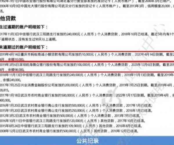 微粒贷逾期时间与个人征信关联深度分析