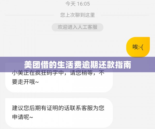 美团借的生活费逾期还款指南