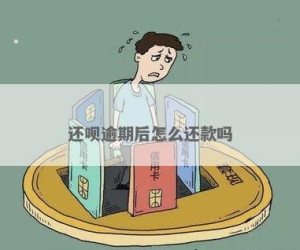 还呗还了还可以再借吗以前逾期过