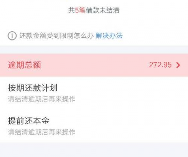 花呗逾期5个月还2万