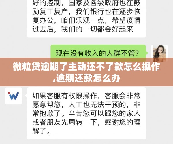 微粒贷逾期了主动还不了款怎么操作,逾期还款怎么办