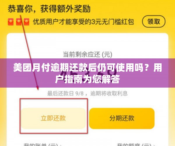 美团月付逾期还款后仍可使用吗？用户指南为您解答