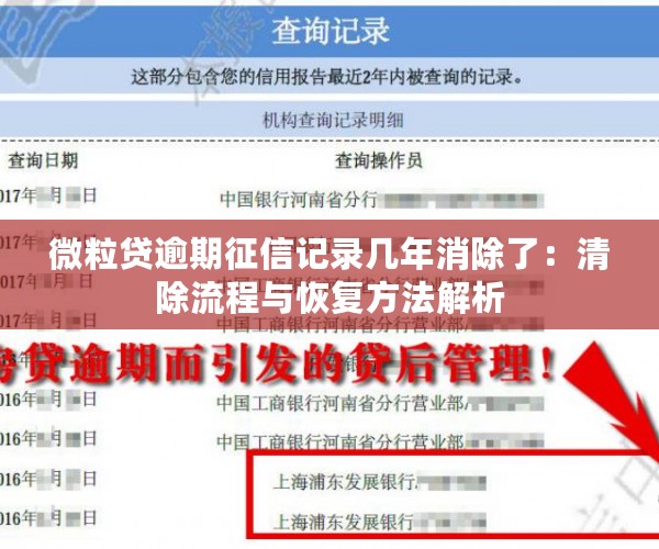 微粒贷逾期征信记录几年消除了：清除流程与恢复方法解析