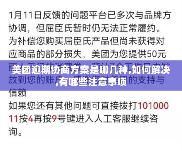 美团逾期协商方案是哪几种,如何解决,有哪些注意事项