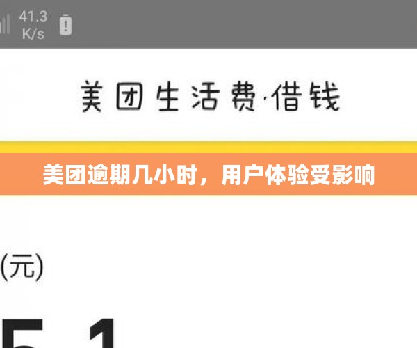 美团逾期几小时，用户体验受影响