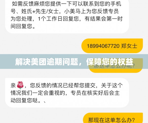 解决美团逾期问题，保障您的权益